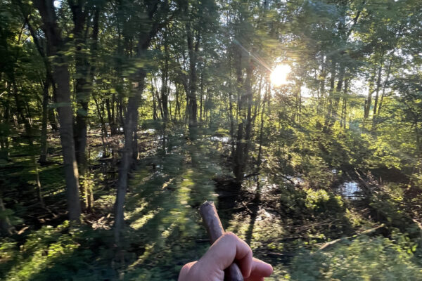 cigar-train-scenery