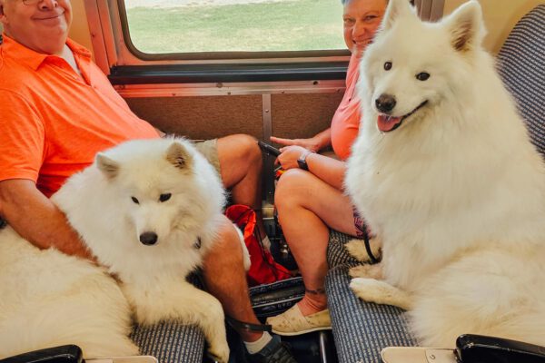 dog-train-passengers