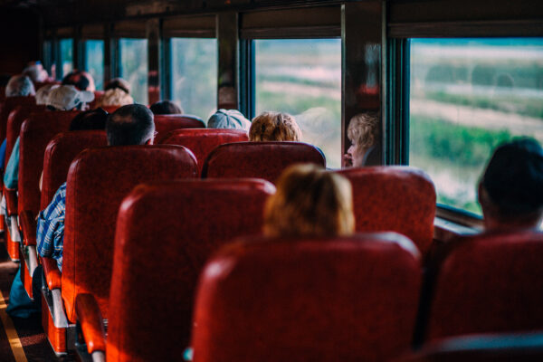 7D3A3364