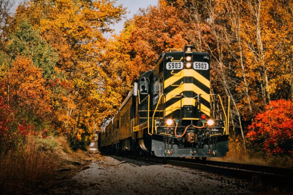 autumn-limited-train-ride