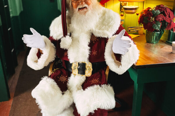 Santa Train 2021-3367