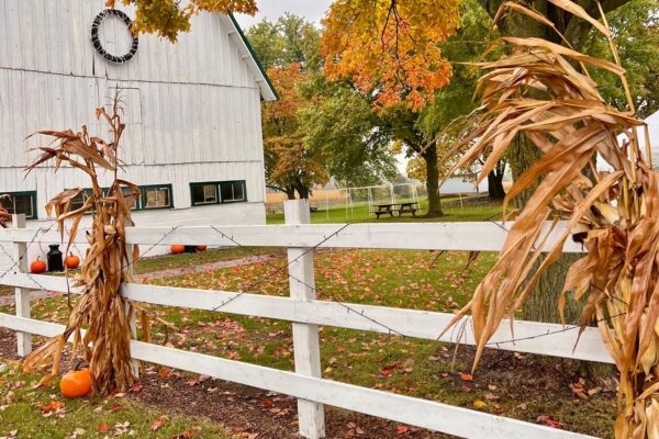 crossroads-farm-reading