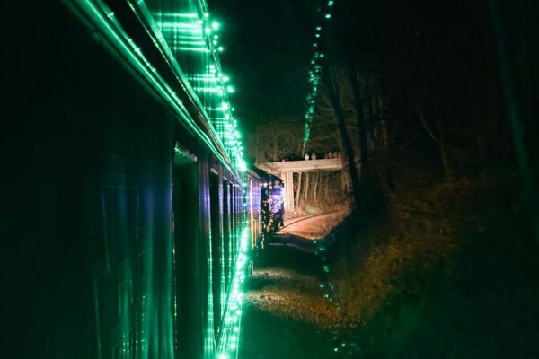 Cameron Christmas Train - Event Photos 2024-6276 Large