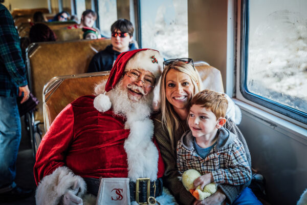 christmas-train-delxue-coach