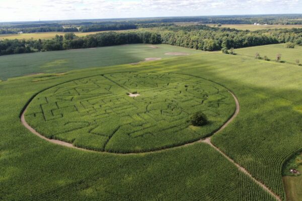 Crossroads Farm Corn Maze